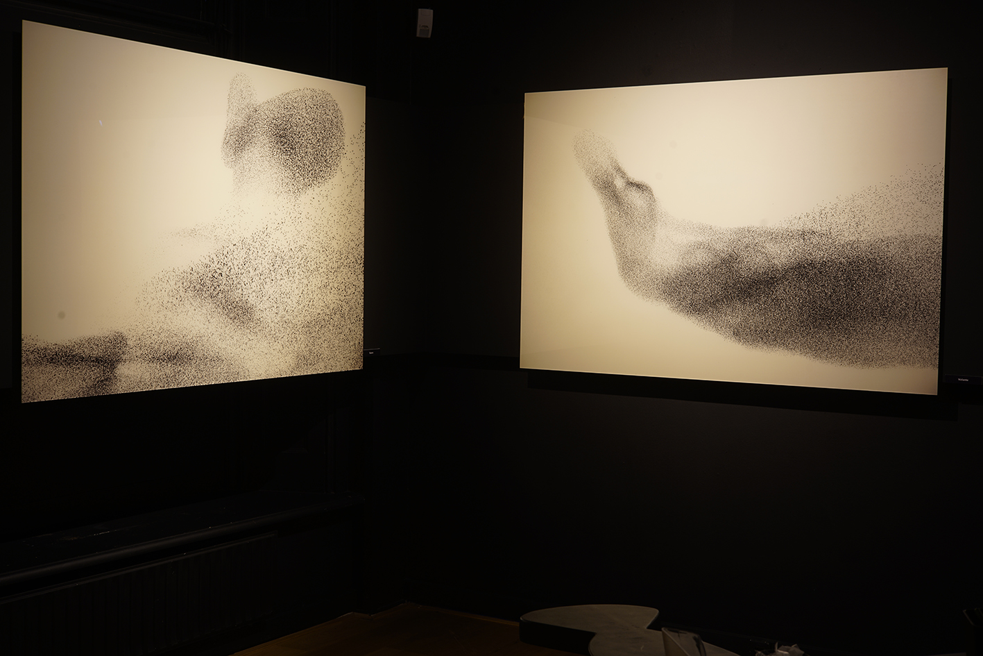 Natuurmuseum Fryslan